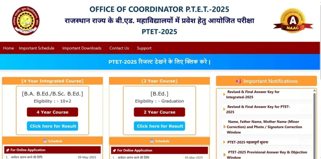 Rajasthan PTET Result 2025 Name Wise